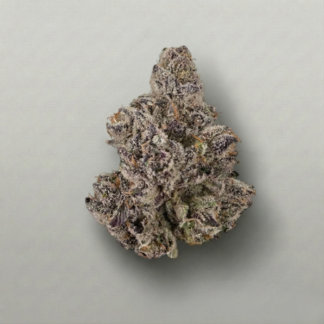Close-up of a cannabis bud on a plain background Official Farmacy