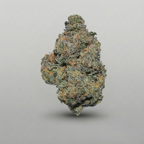 Close-up of a cannabis bud on a gray background Official Farmacy