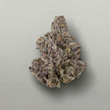 Close-up of a cannabis bud on a plain background Official Farmacy