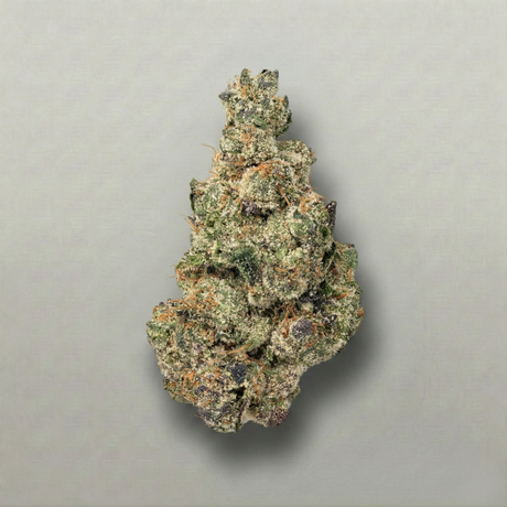 Close-up of a cannabis bud on a gray background Official Farmacy