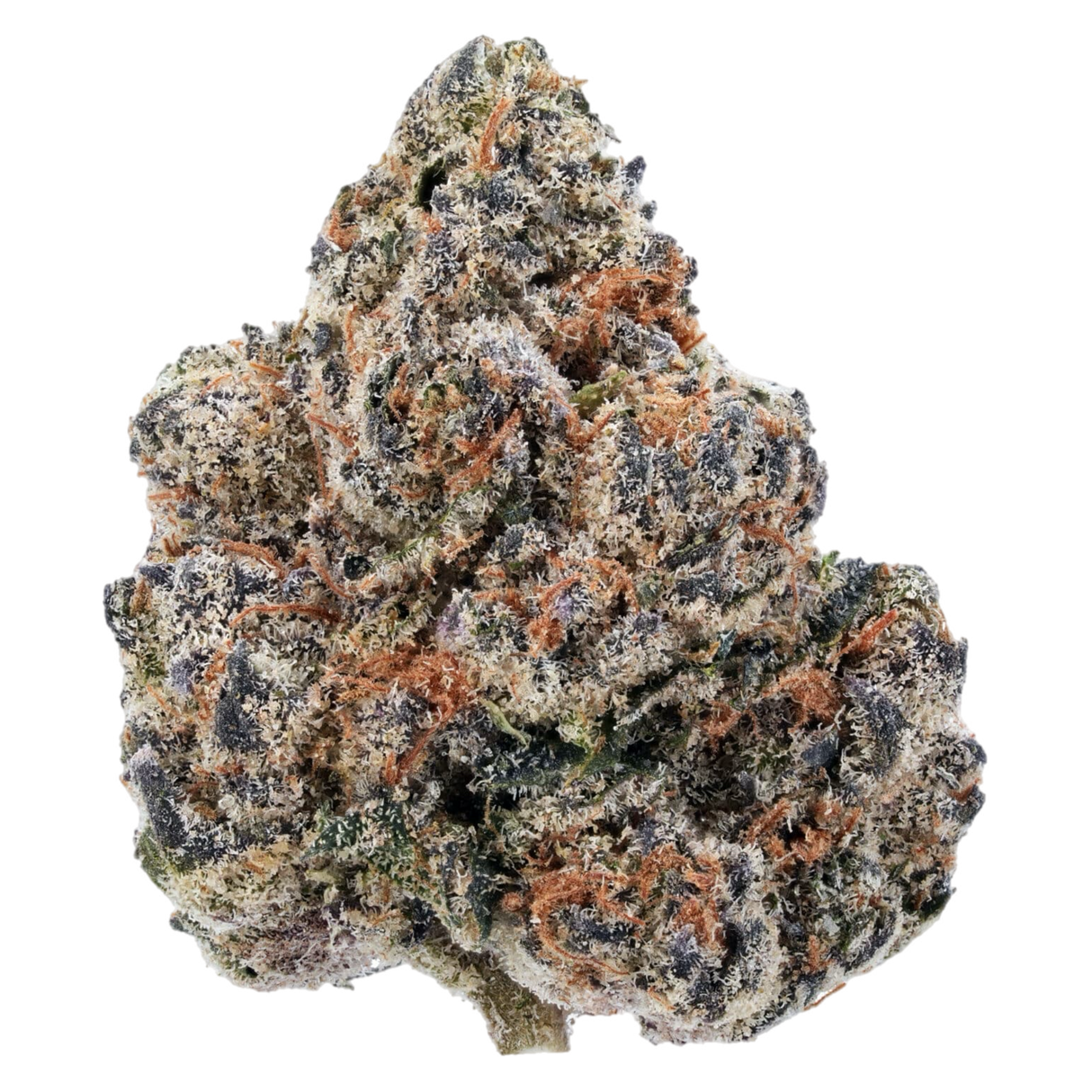 Lemon Cherry Gelato