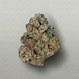 Close-up of a cannabis bud on a neutral background Official Farmacy