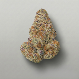 Premium cannabis buds on a gray background Official Farmacy