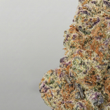 Close-up of a cannabis bud with a gray background Official Farmacy
